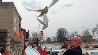 Beautiful Homegoing Celebration with White Doves