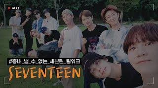 [SEVENTEEN] 서로가 너무 애틋하고 소중한 세븐틴｜흉내 낼 수 없는 세븐틴 팀워크