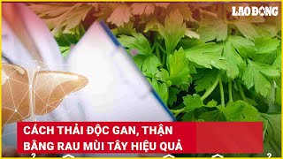 Cách thải độc gan, thận bằng rau mùi tây hiệu quả | Báo Lao Động