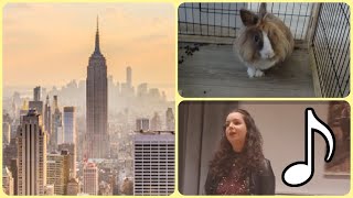 VLOG - NEW YORK GEBOEKT + ZINGEN  IN KERK + KONIJNEN ZIEK?