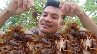 Fresh Crab #shortvideo #shorts #short #viral