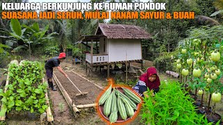 KEHIDUPAN PEDESAAN TIDAK SERBA BELI & UANG TIDAK KELUAR, KELUARGA BERKUNJUNG BUAT MASAKAN SEDERHANA