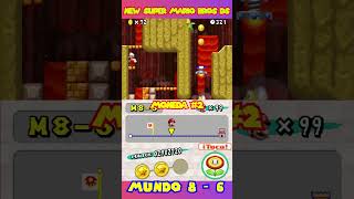 New Super Mario Bros DS 8-6