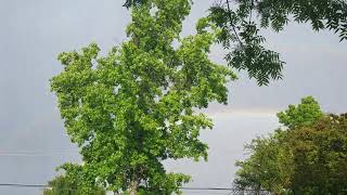 Rainbow Over Fresno - 5 May 2019