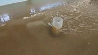 Turbulent Flow and local scour around a bridge pier model