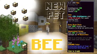 How to get Bee pet in Hypixel SkyBlock