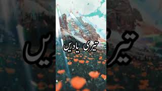 Warafana laka zikrak | naat status #shorts #naat #viralvideo