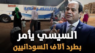 السيسي يأمر بطرد آلاف السودانيين من مصر والجيش ينتشر على الحدود