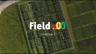 Field100: Chapter two - "Bloom"