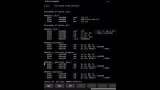 Using objdump to See Assembly Code