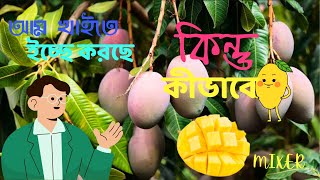 আম খাইতে মন চাইতেছে কিন্তু কীভাবে...? 🙂              & Mixer Jisan Vhai🤚💥