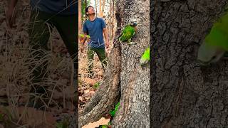 A man met beautiful #birds in forest