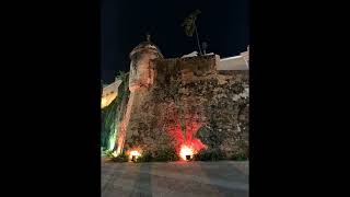 Coqui Sounds in San Juan Puerto Rico (relaxing sounds for sleep)