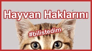 HAYVAN HAKLARINI BİLİYOR MUSUNUZ? #bilistedim