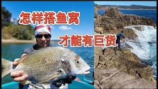 打鱼窝！ 中鱼的绝对关键 Rock Fishing 打窝技巧分享 #岩钓 #Sydney Fishing