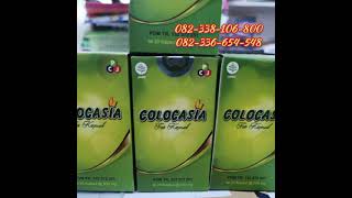 Review Colocasia kapsul || Harga colocasia asli 082338106800