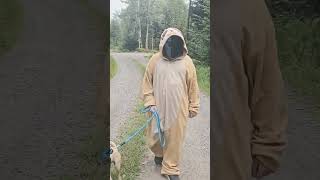 taking my dog on a walk.... #pug #scary #fun #puglovers