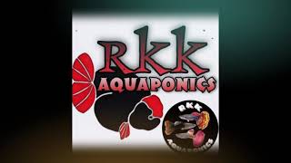 game na ulit💪pa support namn po youtube channel ko rkk aquaponics