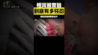 殘忍的恒河猴實驗：母愛的本質是「食物」還是接觸性關懷？ #恒河猴實驗 #母愛 #科學實驗