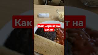 Ужин за 150 рублей, как вам такое? #food #еда #ужин #вахта