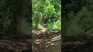 é pressão! 🔥 #braap #offroad #2rodas #shortvideo #crf #trilheirosdobrasil #viral #crf230