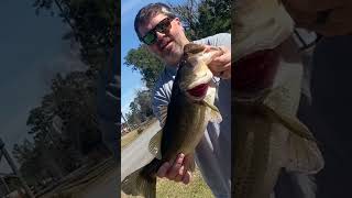 TOPWATER action