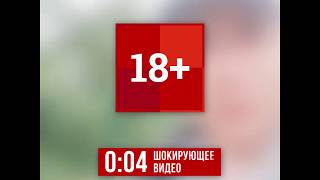 Мужчина застрелил хаски на карьере под Челябинском