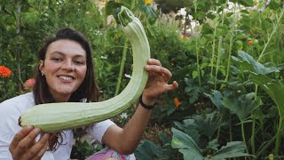 COSECHA de la Huerta una mañana de Julio - Lo has estado haciendo MAL!