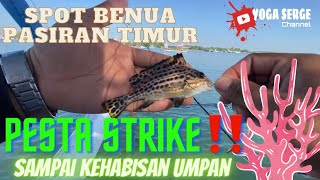 MANCING DI BENOA BALI‼️|| spot idaman para pemancing strike bertubi” 🎣🌊