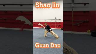 Guan Dao How heavy you think? #martialarts #shaolinkungfu #kungfu#wushu#guandao#关刀