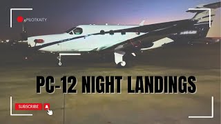 Night Landings & Bat Strike in the PC-12 | Reporting to the FAA | PilotKaity