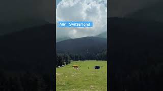 Baisaran valley pahalgam|Kashmir #shortvideo #kashmir