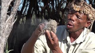 Tau Pan Camp - Central Kalahari Game Reserve