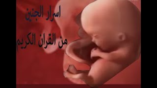 الاعجاز العلمي في الجنين #عبدالحميد كشك