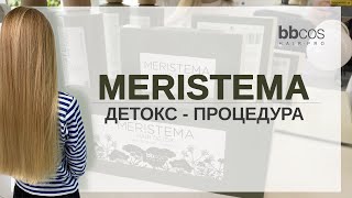 MERISTEMA-DETOX