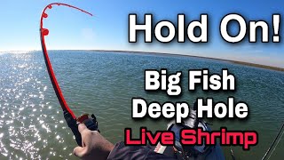 Fishing Deep Holes with Live Shrimp | Winter Fishing