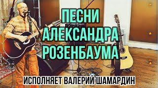 Песни Александра Розенбаума (Исп. В.Шамардин) Гитара Maton Valery Shamardin Custom