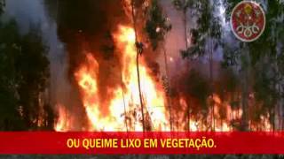 34 INCÊNDIO EM VEGETAÇÃO