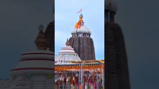 Coming Soon 35 Days Left for jagannath puri rathyatra  🙏 2024||  #shortvideo #shorts #youtubesho