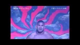 Alistair Overeem 30-12-2012