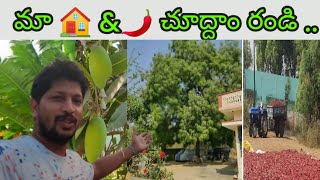 #కమల్ #hometour & #మిరప కాయ #కల్లం కూడా చూద్దాం రండి... #పల్లెటూరు అంటేనే మైండ్ రిలాక్స్ గా ఉంటుంది