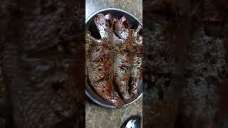 Well Seasoned red snapper before Frying