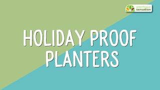 Holiday Proof Planters