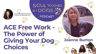 Joanne Burton - ACE Free Work - The Power of Giving Your Dog Choices