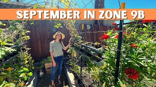 GARDENING IN ZONE 9b / Cabbage Worms / Harlequin Bugs / Aphids / Black Widows / & Fall Seedlings