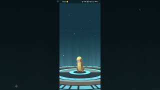 yungoos evolve in Pokemon go