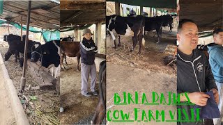 COW FARM VISIT || BIRLA DAJU'S FARM || PAHILA GAON || MIRIK BUSTEE || BEAUTIFUL FARM || FARMLIFE