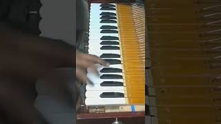 Fast Harmonium Player#harmonium #harmoniumworld