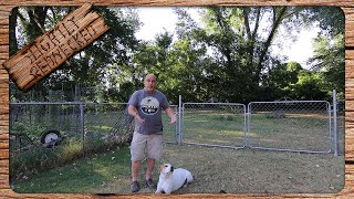 How I Train My Dog Not To Kill My Quail