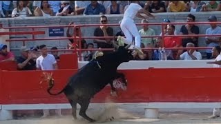 1ère journée de la Palme d'or à Beaucaire - Course camarguaise As - 16/07/2023